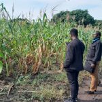 Farmers welcome new IoT project to boost agriculture in northern Uganda